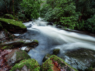 Obraz premium Stunning nature scene with fast flowing water in a stream near Torc waterfall. Killarney, Ireland, ring of Kerry route. Magnificent Irish nature landmark and popular tourist area with easy access.