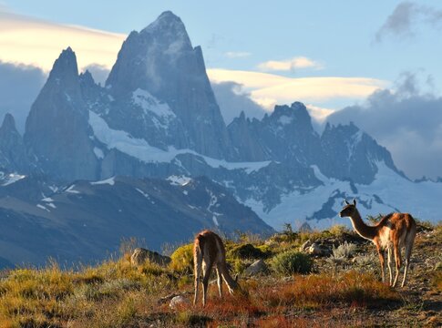 Monte Fitz Roy 