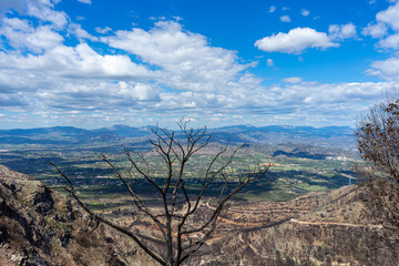 Burnt forest on trail to the peak Mijas, Malaga, Spain