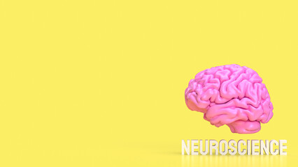 The Human brain for sci or medical concept 3d rendering.