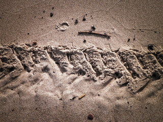 Traces of motorbike on beach.