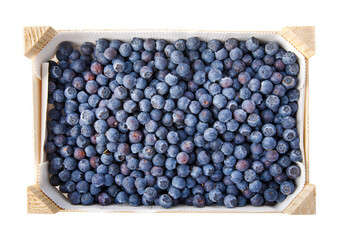 Blueberry berries fresh harvest in the wooden box. Juicy berry farming, agriculture small business. Natural organic food growing. Top view. Isolated. PNG.