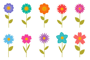 Flowers collection in cartoon style. Colorful cute spring flower isolated on white. Floral botanical illustration, hand drawn simple, vector elements. Spring blossom, blooming.