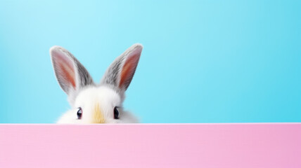 Easter Bunny Rabbit Looking Over Signboard on Pink and Blue Background Banner