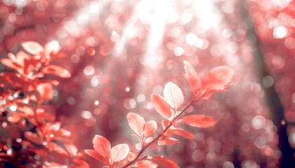 sunlight filtering through the foliage, 16:9 widescreen wallpaper