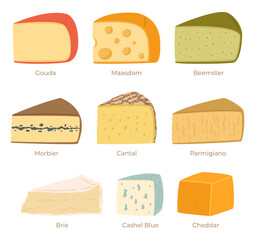 Cheese Collection Isolated on White Background. Gouda, Maasdam, Beemster, Morbier And Cantal. Parmigiano, Brie