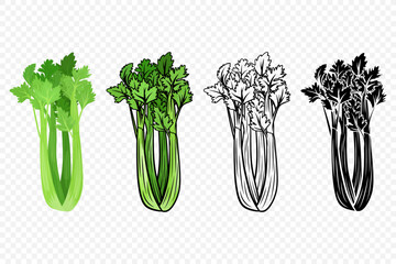 Flat Vector Green Celery Icon Set. Design Template of Fresh Cartoon Celery, Detailed Vector Illustration