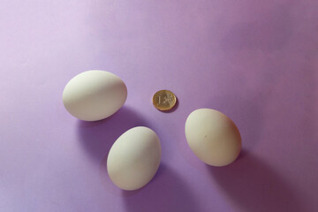 Eggs, a one-Euro coin & food economy