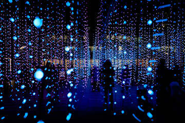 People Enjoying a Multicoloured Light Display