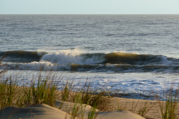 Fototapeta premium Waves crash along shoreline on a relaxing, breezy day at the beach - space for text 