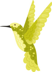 Hummingbird Tropical Bird