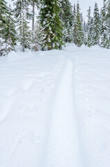 Fototapeta na wymiar Snow trail in park at winter day in Vancouver, Canada, North America. Day time on January 2023.