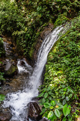 Waterfalls in Chachagua Rainforest Costa Rica