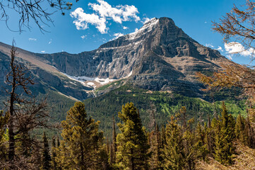 Mountains, Snow and flowers in Glacier National Park