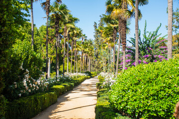 Obraz premium Beautiful flower garden with palm trees and various trees on a sunny, tropical day