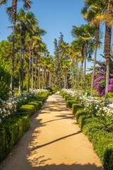 Obraz premium Beautiful flower garden with palm trees and various trees on a sunny tropical summer day