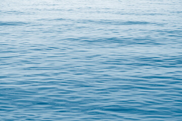 Naklejka premium Calm surface of the sea.