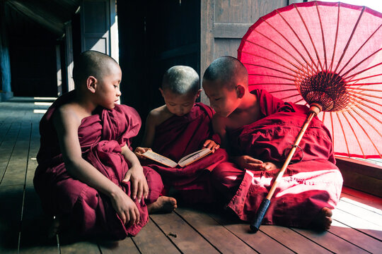 Three novice monks reading a book in a monastery, Myanmar