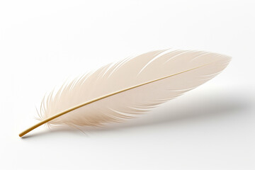 feather of a bird on a white background. 3d rendering