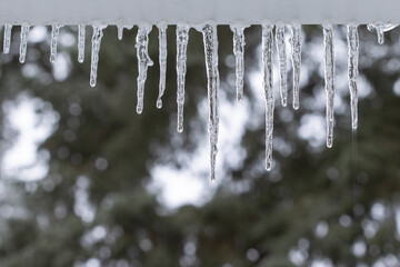 Closeup of icicles hanging on roof gutters with blurred trees in the background.
