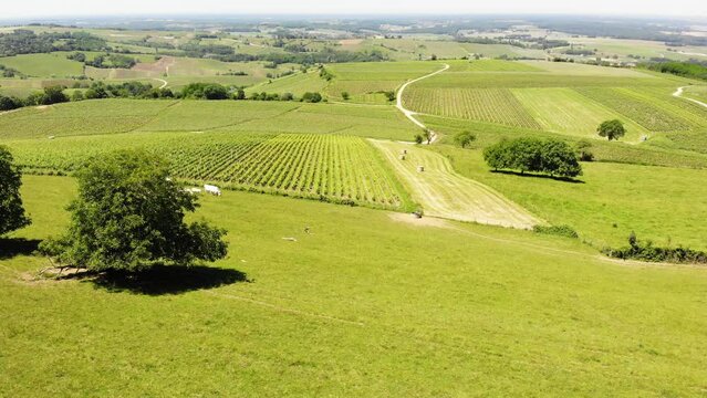 Aerial view of green hills landscape with vineyards in Pupillin commune, Jura wine region, Bourgogne-Franche-Comte, eastern France. View from viewpoint Belvedere du vignoble.