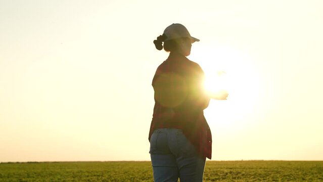 female farmer holding seedling hands sunset, hard work farming. grow healthy productive crops feed world community. Agriculture contributes economies regional countries, providing food, jobs, source