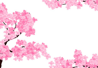 Sakura Branch Background, Cherry Blossom Border. Spring Flowers Frame Illustration Hand Drawn Clipart.