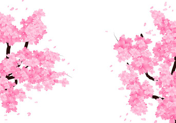 Sakura Branch Background, Cherry Blossom Border. Spring Flowers Frame Illustration Hand Drawn Clipart.