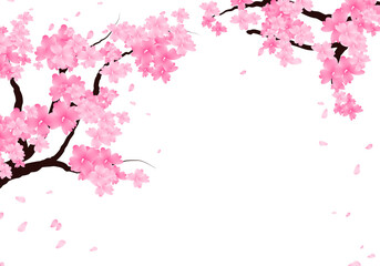 Sakura Branch Background, Cherry Blossom Border. Spring Flowers Frame Illustration Hand Drawn Clipart.