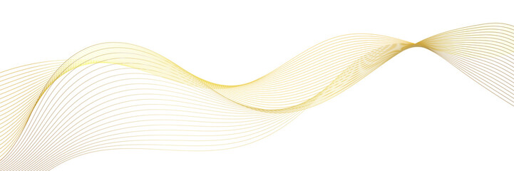 abstract wavy gold lines on transparent background