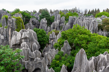 Stone forest Shilin Yi Autonomous County Kunming city Yunnan province, China.