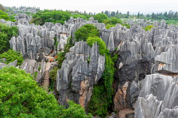 Stone forest Shilin Yi Autonomous County Kunming city Yunnan province, China.