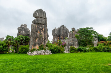 Stone forest Shilin Yi Autonomous County Kunming city Yunnan province, China.