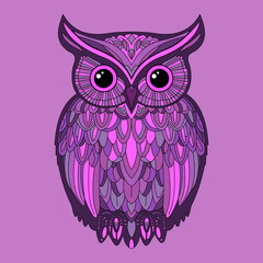 Colored detailed owl. Hand draw vector illustration