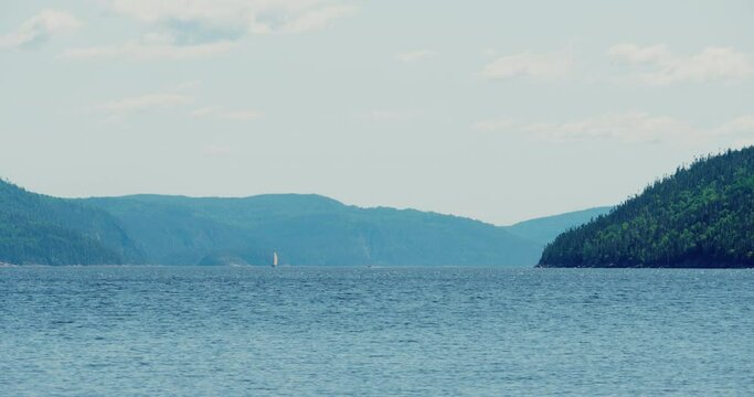 Senic view of the fjord in bright sunny day with mountains with trees