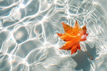 Clean white water and one maple leaf background sunlight reflection. Generative AI.