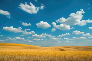 Fototapeta na wymiar Yellow fields and blue skies. Generative AI.