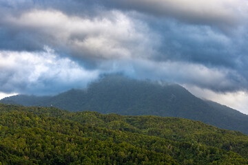 Fototapeta na wymiar Heavy clouds over a dense forest, mountains of Bali near Munduk, Indonesia