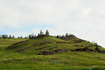 A high hill with parallel rows of rocky formations on the slopes and a few coniferous trees on top under a lazy cloudy sky.