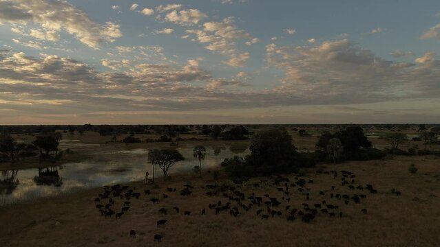 Sunset, aerial view, Okawango Delta, Botswana, Africa