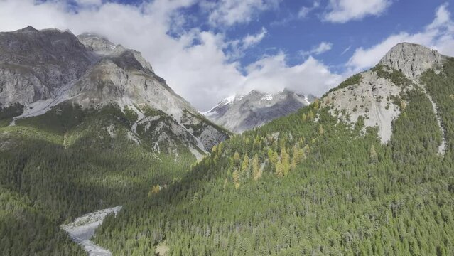 Landscape with colourful larches and Ova dal Fuorn torrent, Piz Nair and Piz Vallatscha in the background, border to the Swiss National Park, drone shot, Zernez, Engadin, Grisons, Switzerland, Europe