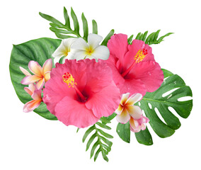Pink Hibiscus flowers and plumeria flowers with monstera leaves in a tropical arrangement isolated on transparent background