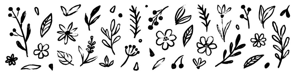 Flower doodle hand drawn line stroke. Sketch hand drawn spring floral plant, nature graphic leaf, scribble grunge brush texture. Vector simple flower, leaf brush stroke. Vector illustration © Polina Tomtosova