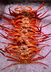 Snow crab nicely stacked up for sell in a Japanese fish market