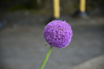 Japan through my Lens!!