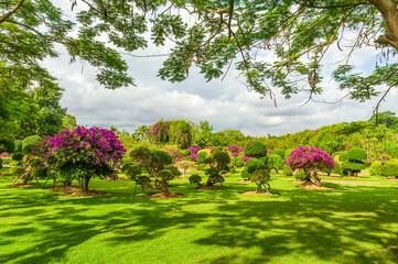 The tropical botanical garden in Xishuangbanna Dai Autonomous Prefecture Yunnan province, China.