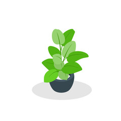 Fototapeta na wymiar Plant pot icon isometric vector. Flowerpot vase. Garden or room plant, Indoor and outdoor design element.