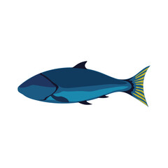 Vector fish  illustration. Colorful cartoon flat aquarium fish icon for your design.