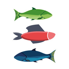 River fish. Set of freshwater aquarium cartoon fishes. varieties of ornamental popular color fish. Flat design fish. Vector illustration, 