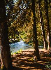 Perspectiva de un río con agua corriendo desde un pasillo natural en el bosque en época de otoño